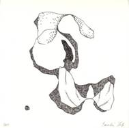 2 a Zeichnung Barab�s 9