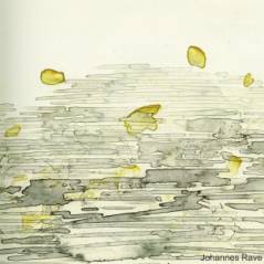 Johannes Rave